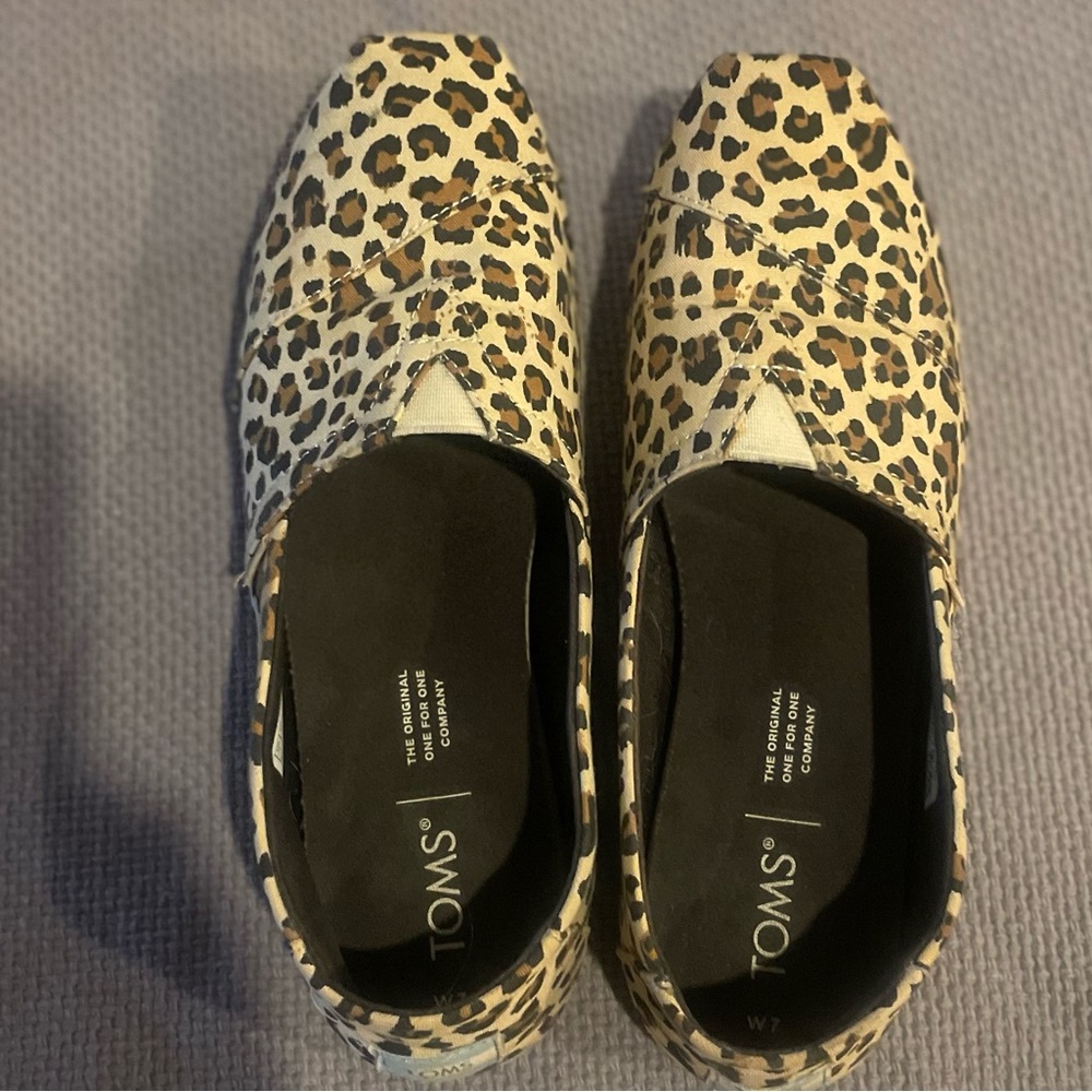 Tom’s shoes- leopard print